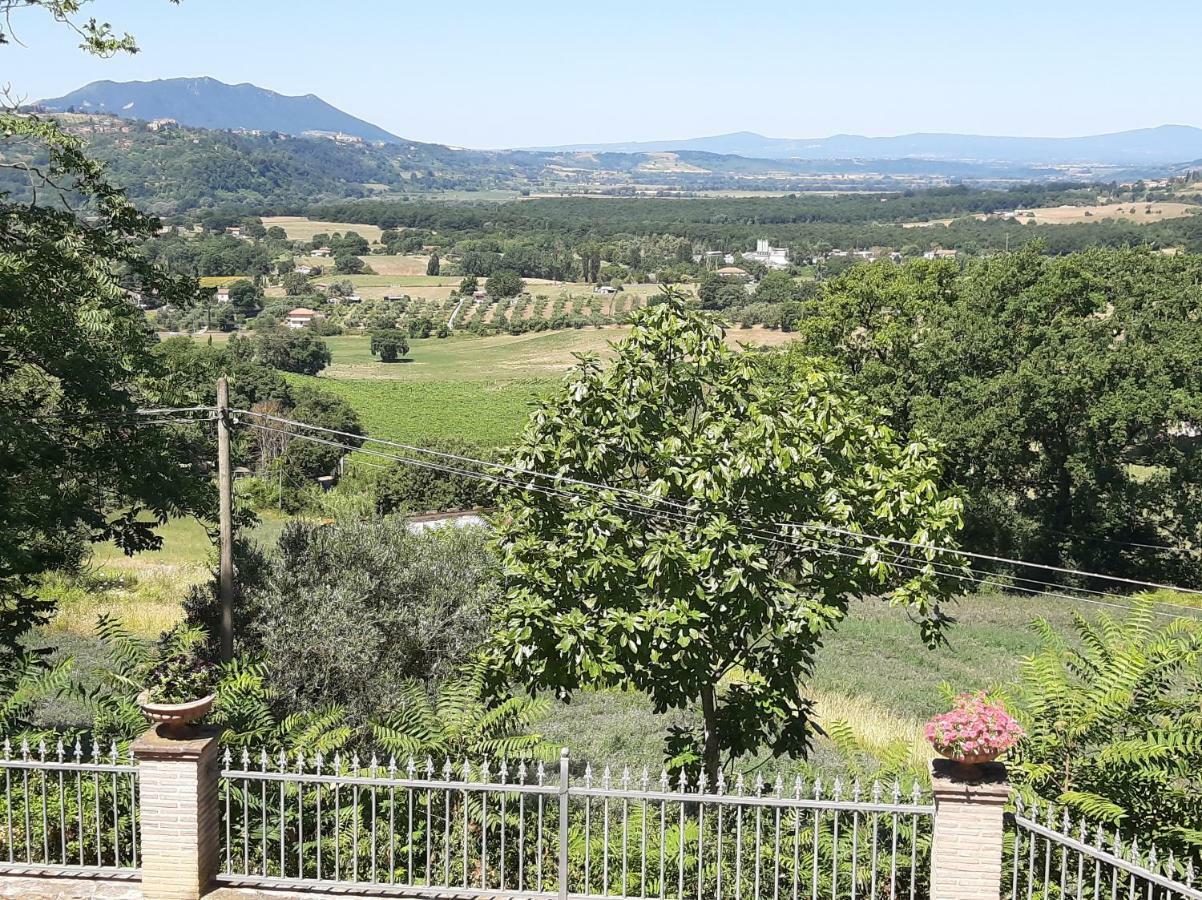 Villa Pacchini Poggio Mirteto Bagian luar foto