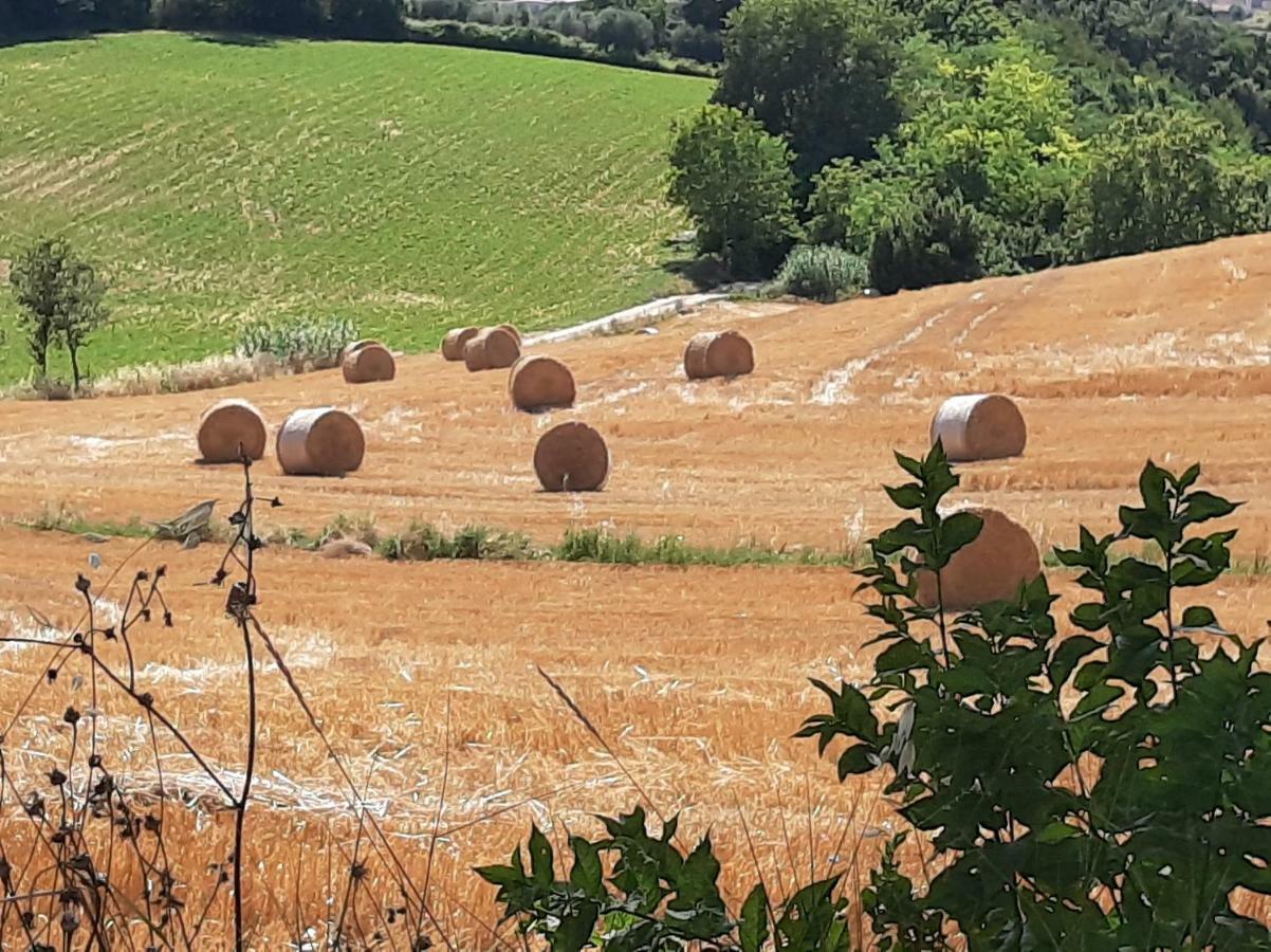 Villa Pacchini Poggio Mirteto Bagian luar foto